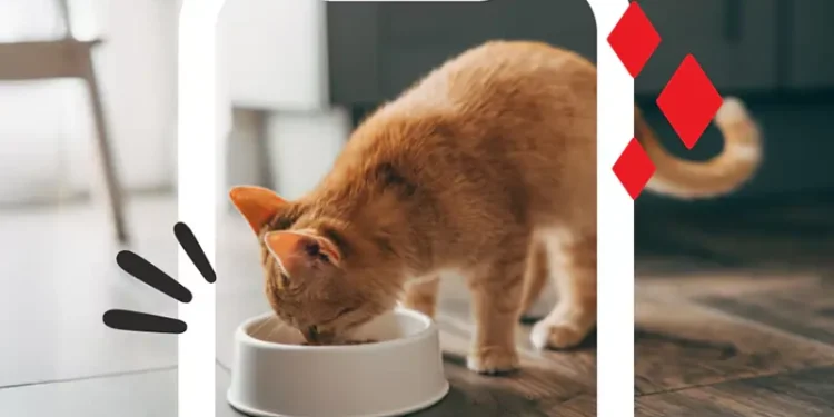 Save on Friskies, Fancy Feast & more with Purina Cat Food Coupons